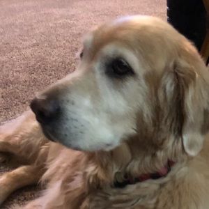 Meet your Posher, Shelly